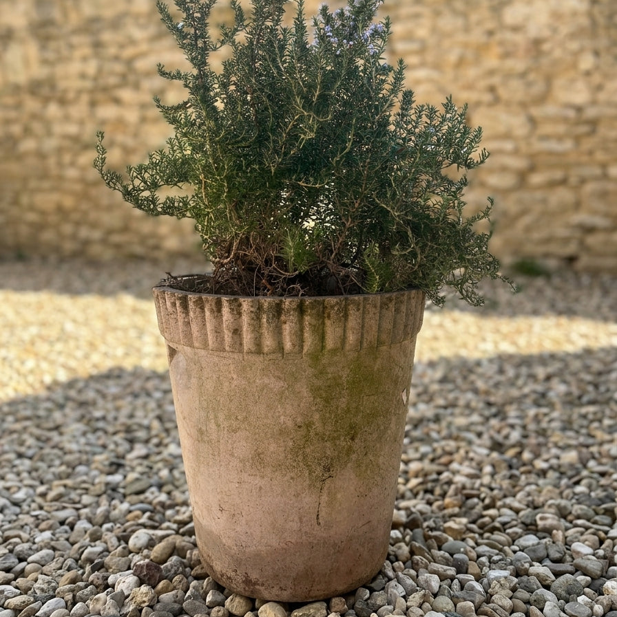 Willy Guhl Flower Pot Planter