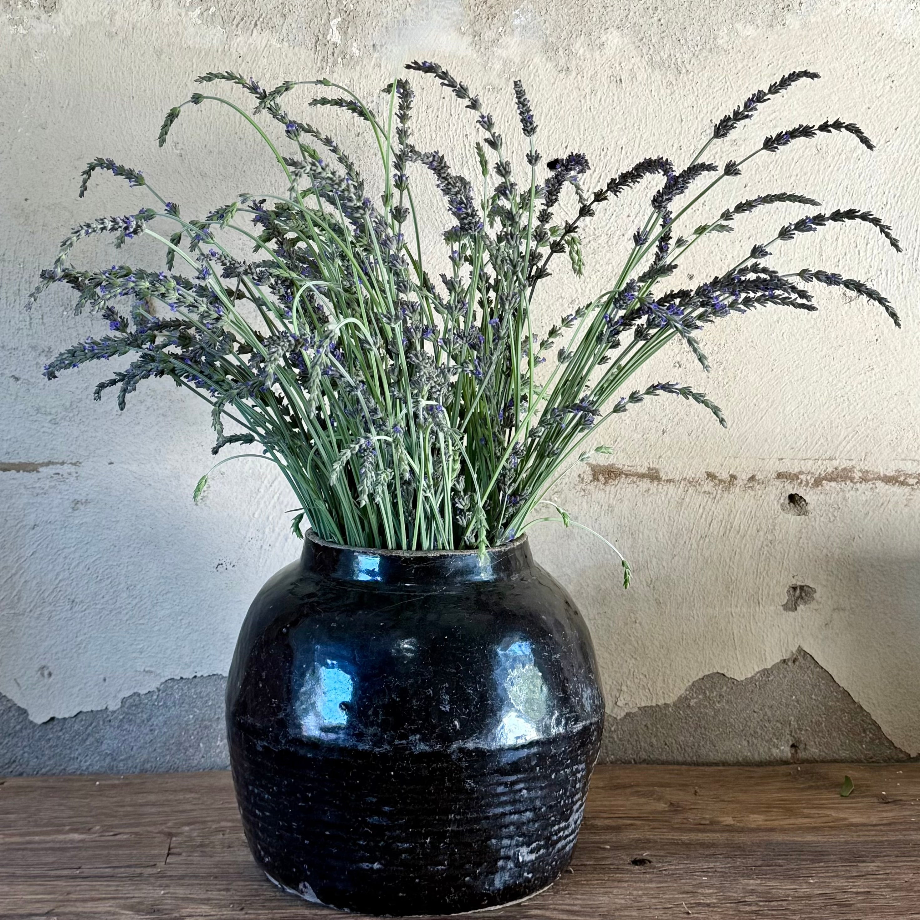 Why Every Room Needs an Antique: A Designer’s Secret for Timeless Interiors