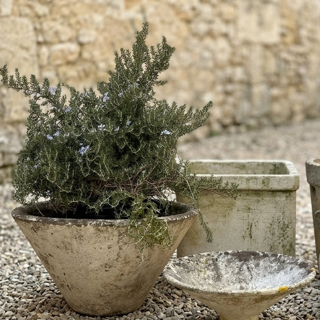 Willy Guhl Cone Planter